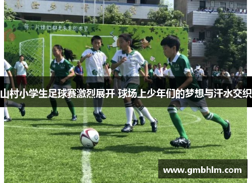 山村小学生足球赛激烈展开 球场上少年们的梦想与汗水交织